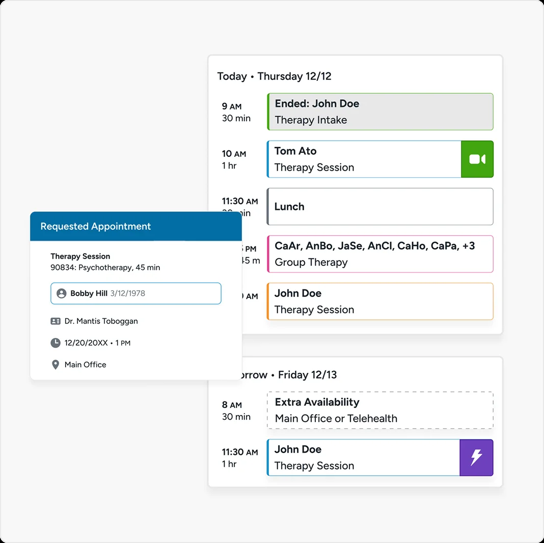TherapyNotes product screenshot